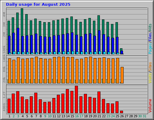 Daily usage for August 2025