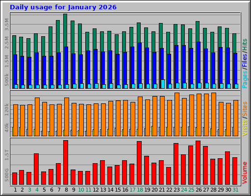 Daily usage for January 2026