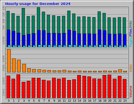 Hourly usage for December 2024