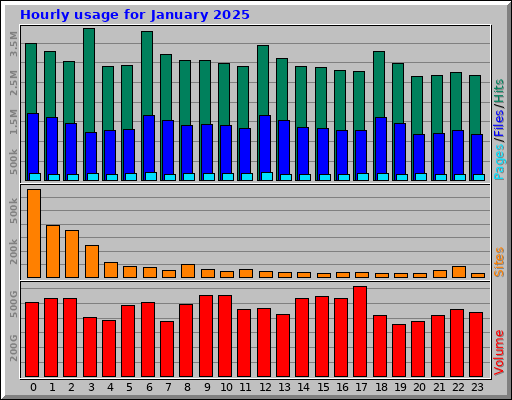 Hourly usage for January 2025