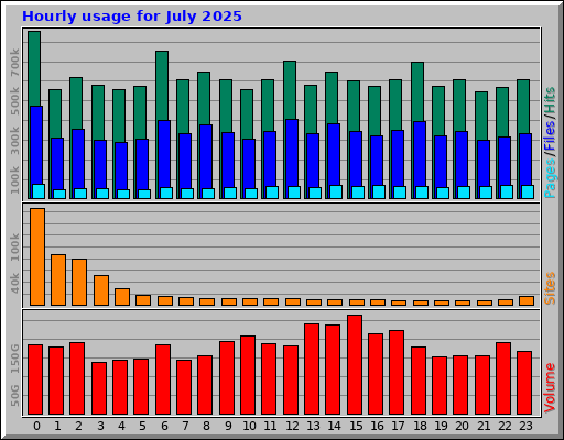 Hourly usage for July 2025