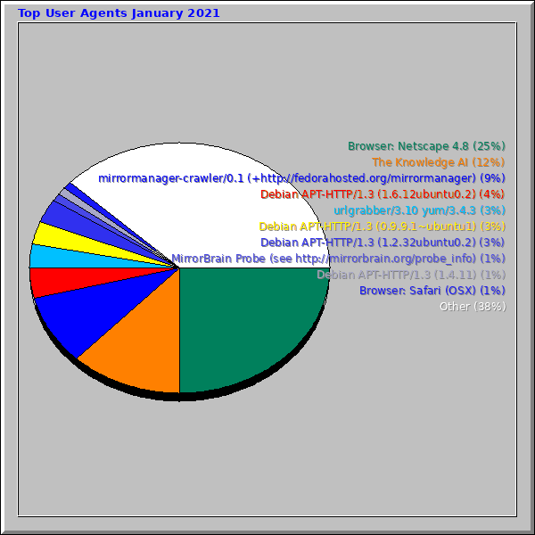 Top User Agents January 2021