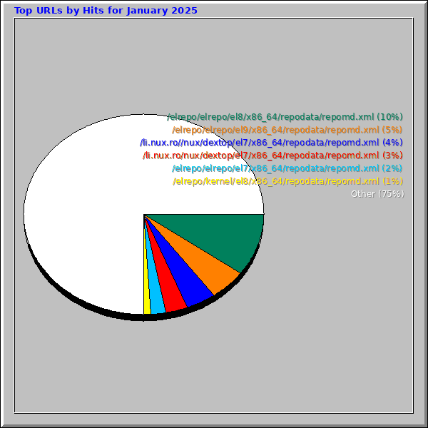 Top URLs by Hits for January 2025